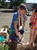 Kartoffeln und Gemüse im Schulgarten pflanzen 21.05.2014
